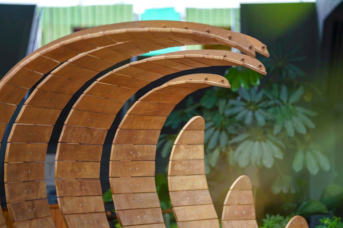 Fern. Photographed by Nicholas Yeo Fern by NTU Community