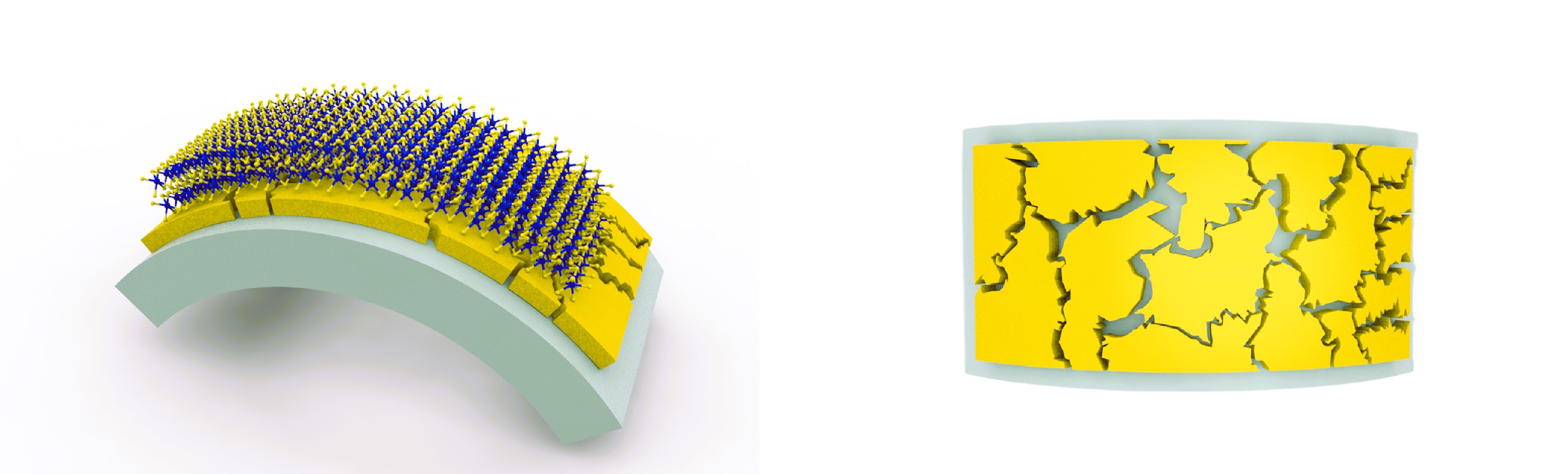 Left: Illustration of the WS₂ integrated with gold nanostructures on the flexible substrate. Right: Top view of the nanometre-sized gaps on the integrated surface